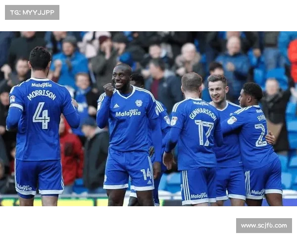 加的夫城足球队所属的联赛级别及历史表现分析